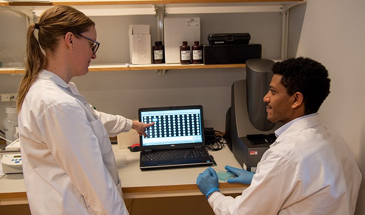 Scientists Liza Ljungberg and Mulugeta Zegeye study the levels of inflammatory IL-6 on a computer monitor.