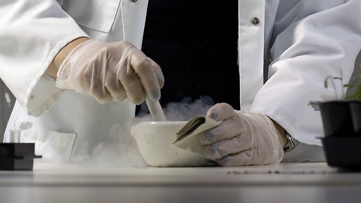 Foto två händer som blandar kemiska preparat i en skål.
