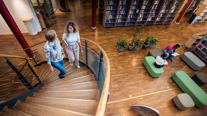 Students walking up a stair