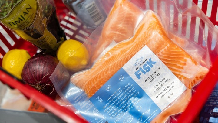 Fisk i förpackning