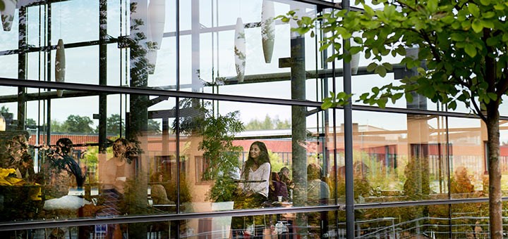 Glass window with a cafe behind.