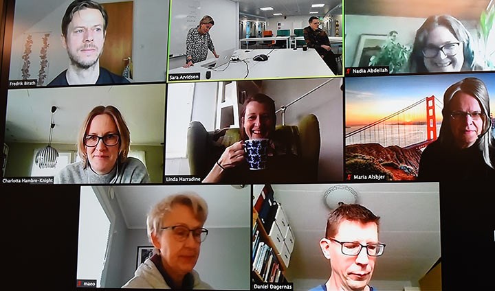 Screenshot from a video meeting.