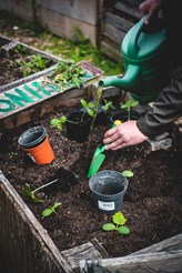 Person digging in the soil