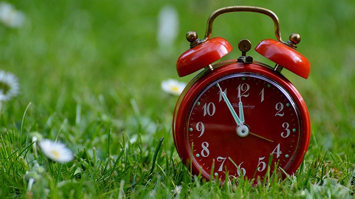 En röd gammeldags väckarklocka står på en grön gräsmatta.