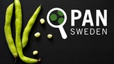 PAN Sweden Logo