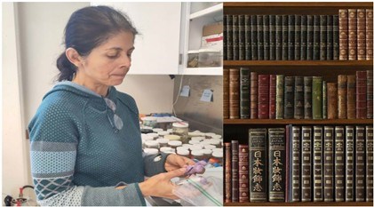 Woman working and a library