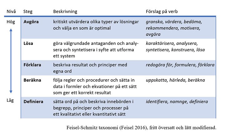 Feisel-Schmitz-taxonomi-_webb.jpg