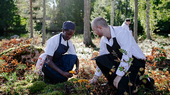 Två studenter i kockkläder plockar bär i skogen.