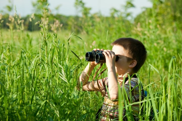 Child looking through binoculars - link to Research in Science Education