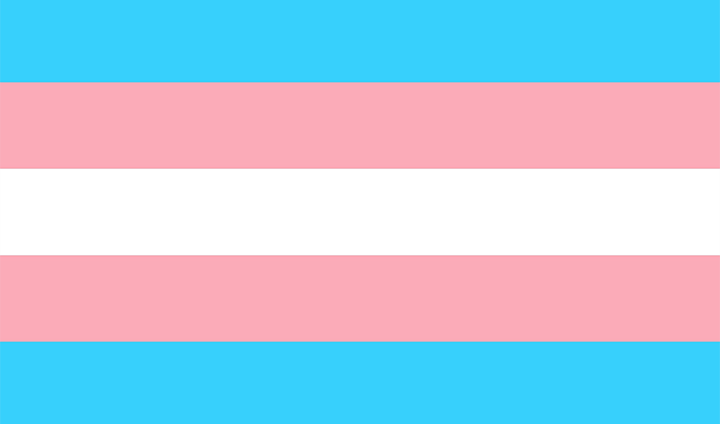 En randig flagga i blått, rosa och vitt.
