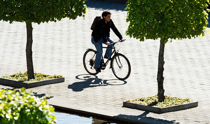 Cyklande student vid Kraka-dammen