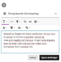 skärmbild övergripande återkoppling