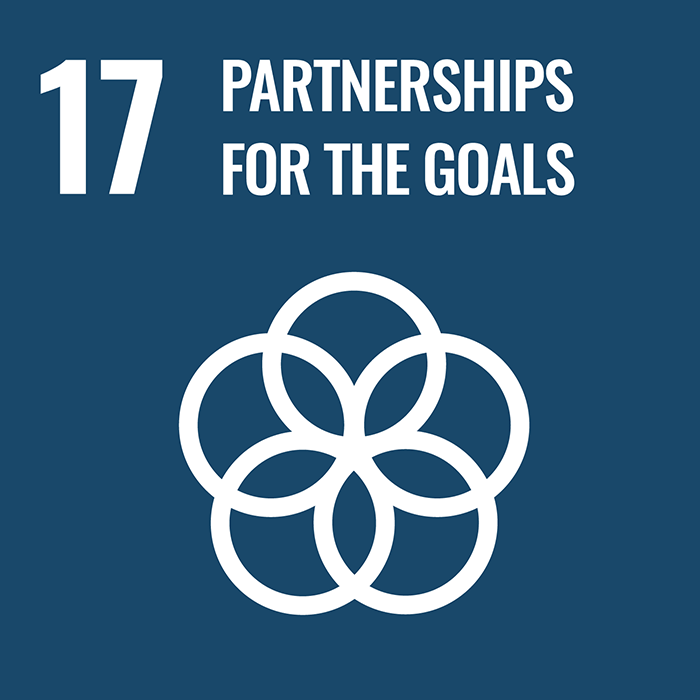 Icon Goal 17 Partnerships for the goals