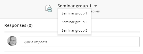 Seminar groups.PNG