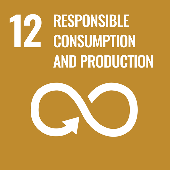 Icon Goal 12 Responsible consumption and production