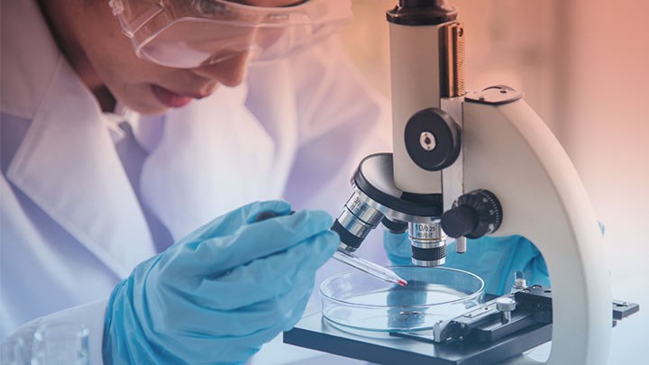 Researcher sampling in a petri dish under a microscope