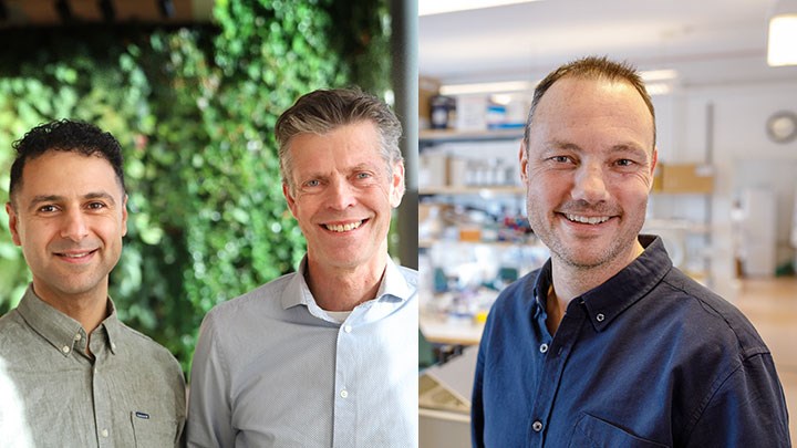 Bildcollage med forskarna Hazem Khalaf, Torbjörn Bengtsson och Niklas Arnberg.