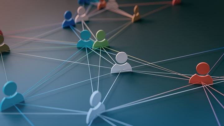 Collaborators