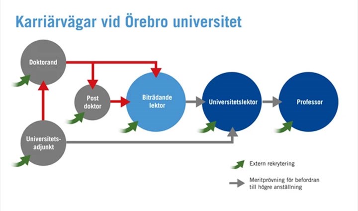 Career paths at Örebro University, Doctoral student, Postdoctoral appointment, Associate senior lecturer, Senior lecturer, Professor, Lecturer, External recruitment, Proficiency test for promotion to higher appointment.
