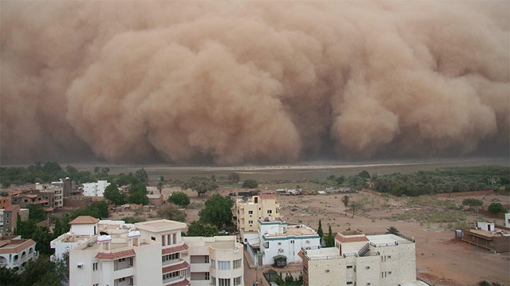 A giant sandstorm blows towards a residential area.