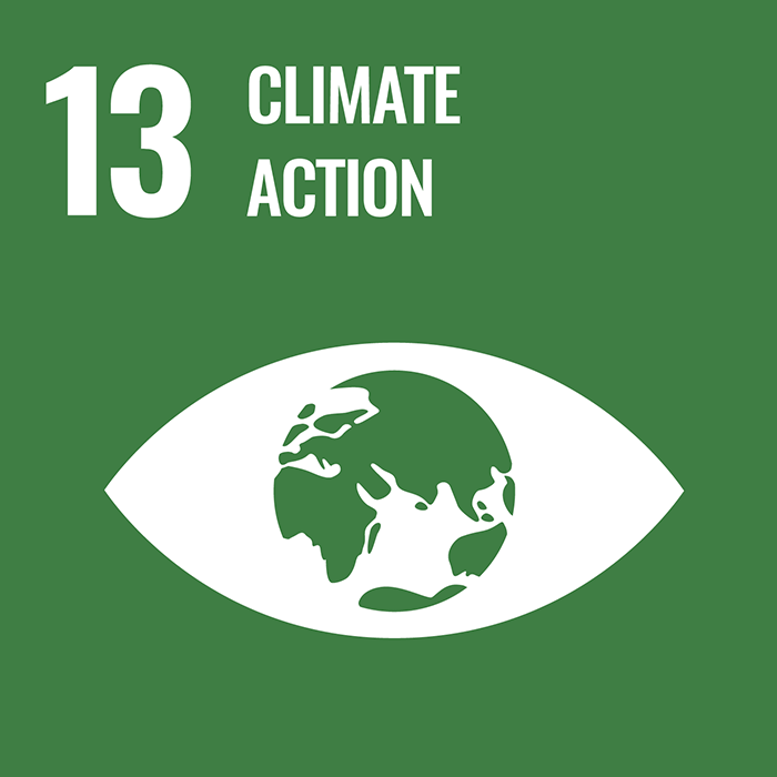 Icon Goal 13 Climate action