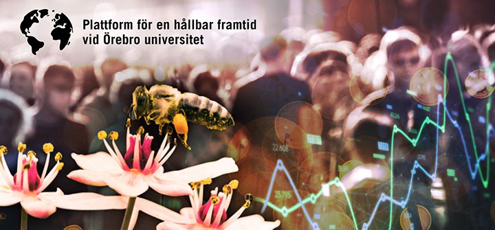 Ett bi vid en blomma med människor i bakgrunden och texten Plattform för en hållbar framtid vid Örebro universitet.