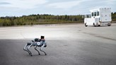 En robothudn ute på flygplatsen. 