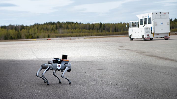 En robothudn ute på flygplatsen. 