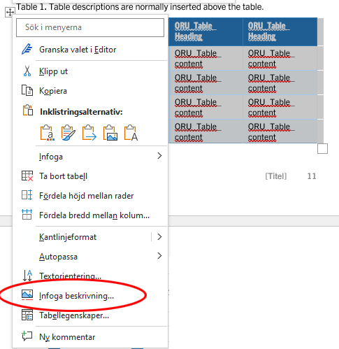 infoga tabellbeskrivning