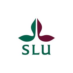 SLU.