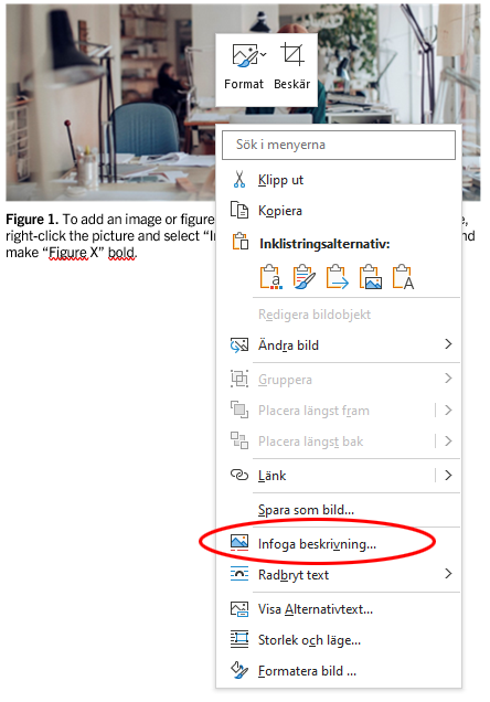 infoga bildbeskrivning