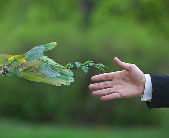 En hand av växter hälsar på en hand från någon med kostym