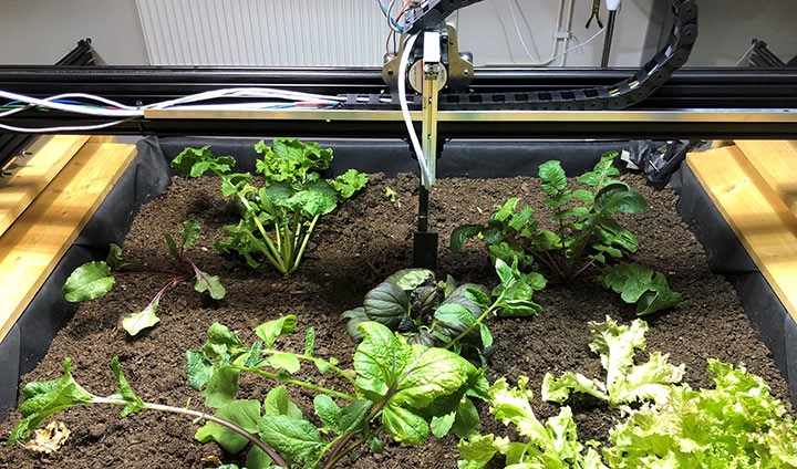 Grönsaker i jord och en robotarm.