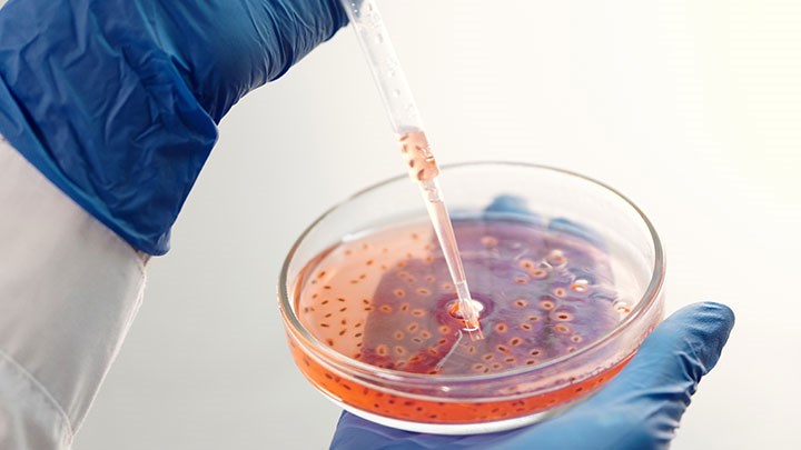 BioImpakt.