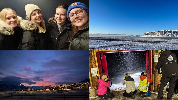 Fyra bilder från Svalbard i ett collage.