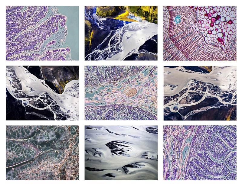 Fotografier av Mattias klum från utställningen Inside Out.