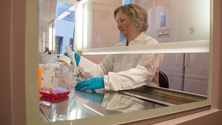Researcher Maria Larsson works with samples in a fume cupboard.