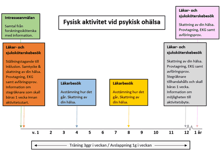 Skiss över processen att behandla psykisk ohälsa med fysisk aktivitet