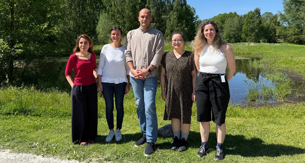 Five members in Junior Faculty Board.