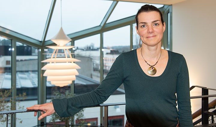 Katalin Capannini-Kelemen är docent i komparativ rätt vid Örebro universitet.