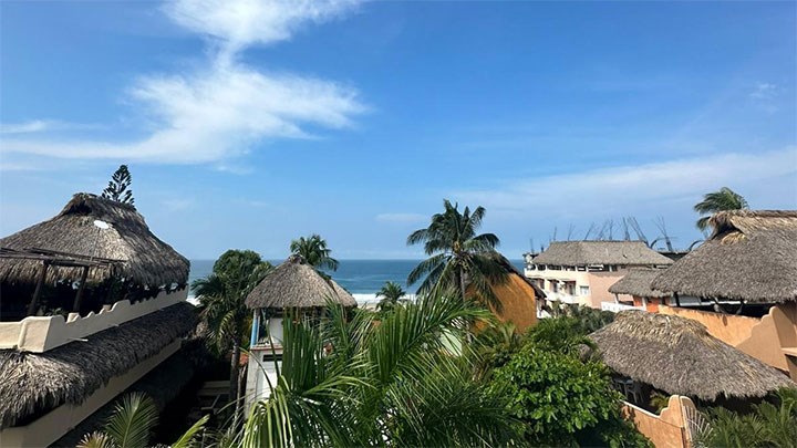 Vacker utsikt över hav och palmer