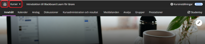 Sk&auml;rmbild- hemknapp