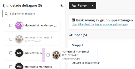 skärmbild dra släpp