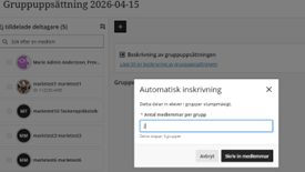 Sk&auml;rmbild automatisk tilldelning