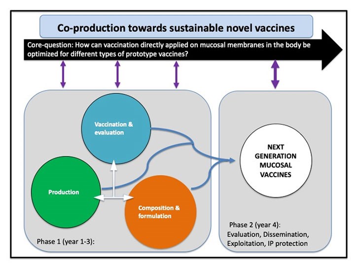 Schematic overview of the Synergy outline. The core-question (black arrow) will be answered through the different subprojects (orange, green and blue) which have themes defined to support the process and will be investigated in an interconnected manner leading into the development of novel mucosal vaccines (white). Arrows represent the flow of knowledge back and forth between the Synergy core question and the subprojects.