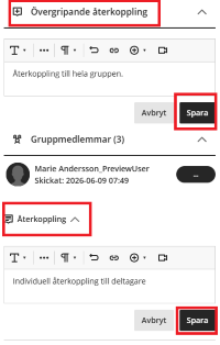 skärmbild återkoppling gruppuppgift