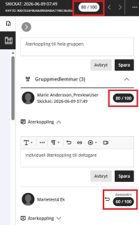 skärmbild individuellt resultat