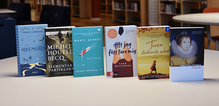 Six books standing on a table.