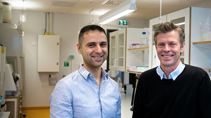 Hazem Khalaf och Torbjörn Bengtsson.