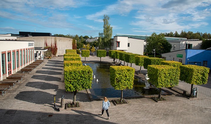 Krakadammen vid Örebro universitet.